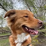 Fergus Wallace - @fergusruns - Instagram