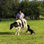 Fergus White - @mrf_white - Instagram