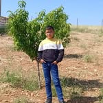 İbrahim Ferhat - @ibrahim.ferhat.794 - Instagram