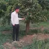 Ibrahim Ferhat - @ibrahim.ferhat62 - TikTok
