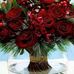 Ferial Ali - Facebook