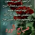 Ferial Ali - @ferial.ali.524 - Instagram