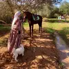 Ferial.ali - @sa.nime3 - TikTok