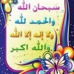 Ferial M. Soliman - @ferialm.soliman - Instagram