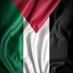 Ferid Basic - @ferid.basic - Instagram