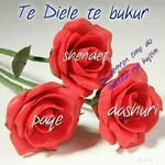 @feride.gashi2 - Instagram