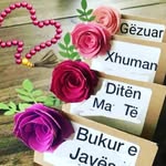 Feride Gashi - @feridegashi575 - Instagram