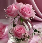 Feride Gashi - Facebook