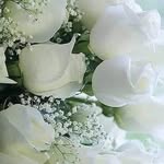 Feride Ismail - @ferideismail713 - Instagram