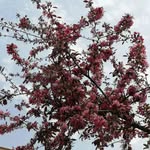 Ismail Sefer - @ferideismail - Instagram