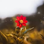feride sever - @feride_sever_ - Instagram