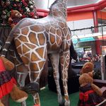 fermin abrego - @ferminabrego5857 - Instagram