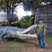 Fermin Andres - Facebook