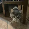 Fernanda Apodaca - @fer_apodaca - TikTok