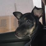 Fermin Avalos - @fermin_avalos_ - Instagram