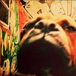 Fermin Casas Avalos - @fermincasasavalos - Instagram