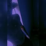 Fermín Avilés - @ferminaviles125 - Instagram