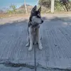 Fermin Aviles - @fermin.aviles4 - TikTok