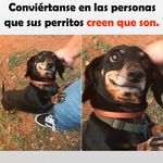 fermin brito - @ferminbrito65 - Instagram