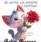 Maricruz Fermín Cadena - Facebook