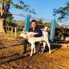 FCR GORDO - @fermincenteno - TikTok