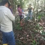 Fermin Cerda - @cerdafermin - Instagram