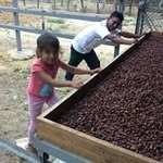 Fermin Carrillo Coronado - @fermincarrillocoronado - Instagram