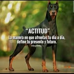 Fermín coronado - @coronado_fermin - Instagram