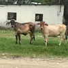 Pablo Espinal - @fermin.espinal5 - TikTok