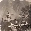 Fermin Estrada - @fermin.estrada86 - TikTok