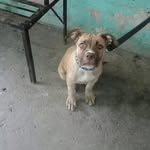 fermin estrada dias - @ferminestradadi - Instagram