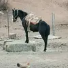 garibay02 - @fermingaribayrami - TikTok