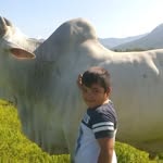 Fermin Lares - @fermin.lares.7 - Instagram
