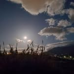 Fermin Del Rio Marrero - @fermindelriomarrero - Instagram