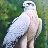 Fermín Méndez - @fermin.mndez7 - TikTok