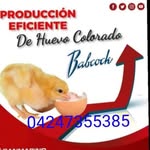 Fermin Mendez - @fermin_mendez - Instagram