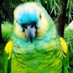 fermin molina - @molinafermin752 - Instagram