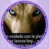 Fermin Monroy Carrillo - @ferminmonroycarri - TikTok