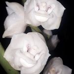 Fermín Morán - @ferminmoran7 - Instagram