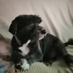 Fermín Moreno - @antmorgarca - Instagram