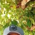 Fermin Ortiz - Facebook
