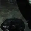 Rey fermin - @rey.fermin2 - TikTok