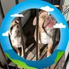 Fermin Roque - @fermin.roque6 - TikTok
