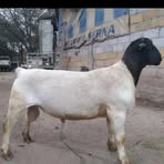 Fermin Serna Errera - Facebook