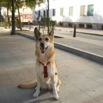 Fermin Serrano Posadas - @ferse55 - Instagram
