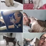 silverio fermino dos anjos - @silverioferminodosanjos - Instagram