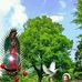 Fermin Suarez - Facebook