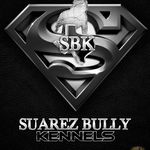 Fermin Suarez - @suarez_sbk - Instagram