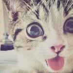 Ángel Fermín Trejo - @angelfermintrejo - Instagram