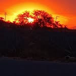 fermin vargas - @ferminvargas9 - Instagram